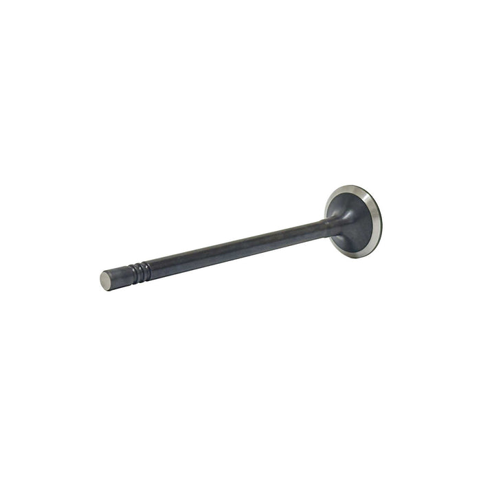 Intake Valve