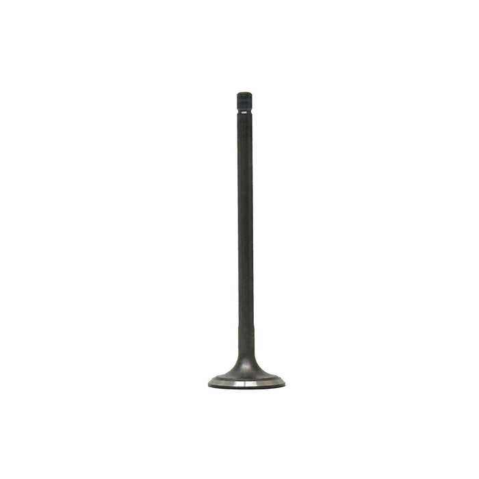 Intake Valve