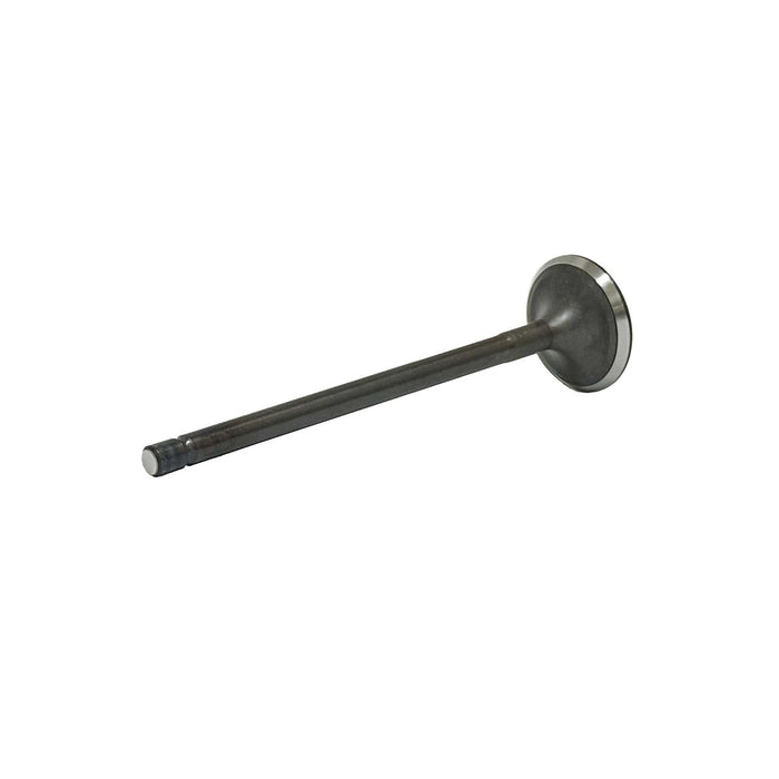 Intake Valve