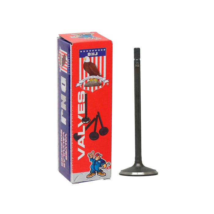 Intake Valve