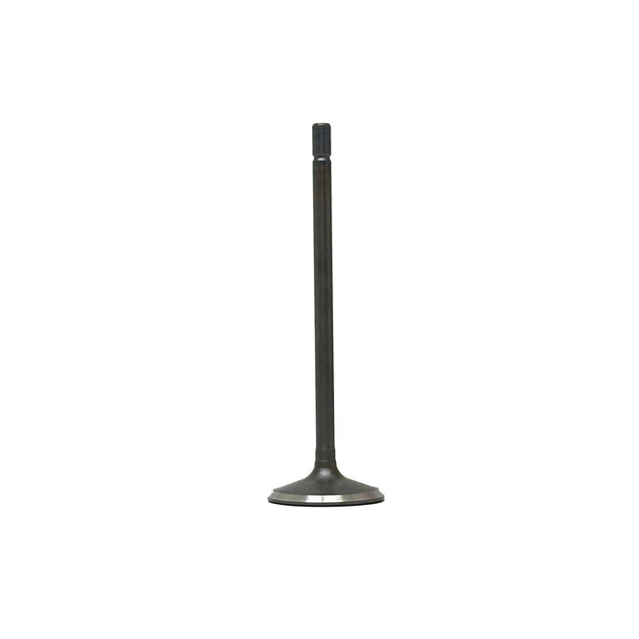 Intake Valve