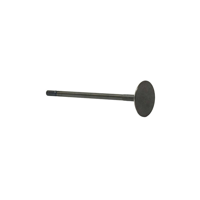Intake Valve