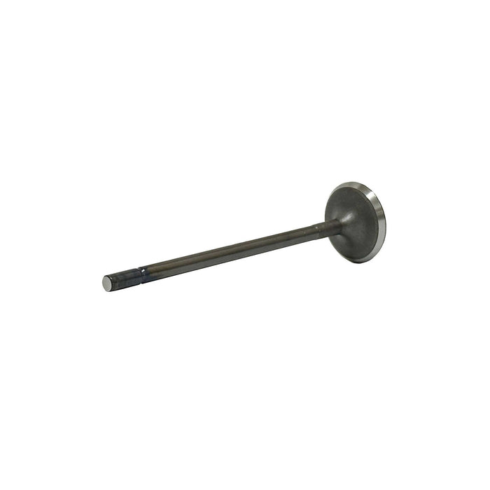 Intake Valve