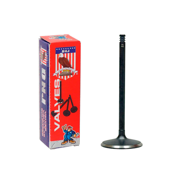 Intake Valve