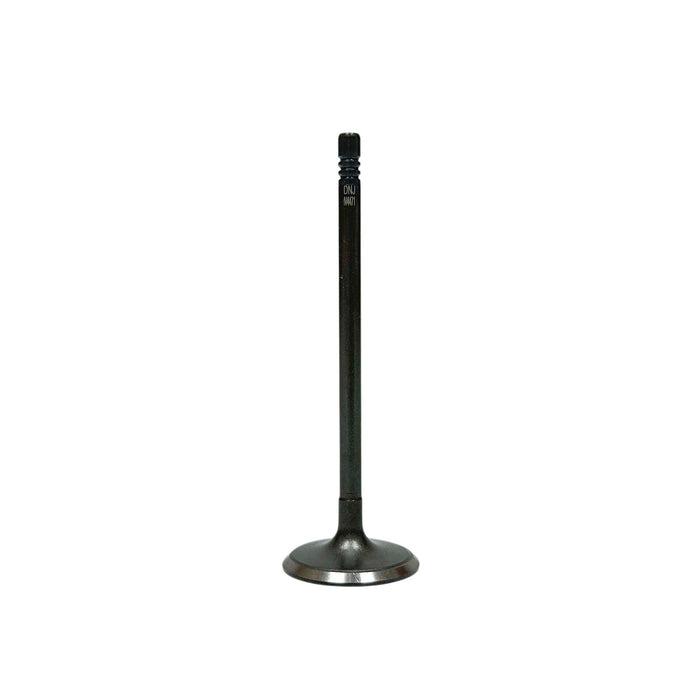 Intake Valve