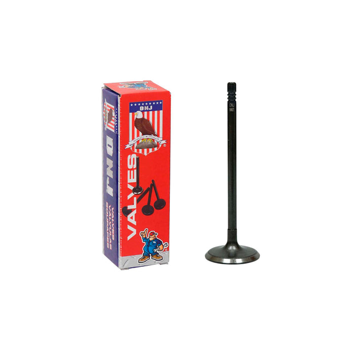Intake Valve