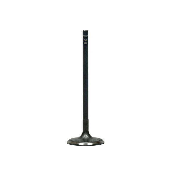 Intake Valve