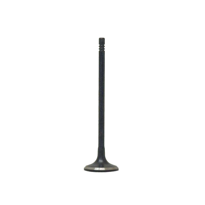 Intake Valve