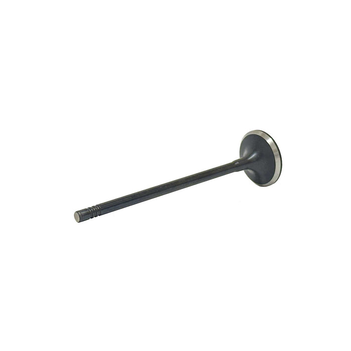 Intake Valve