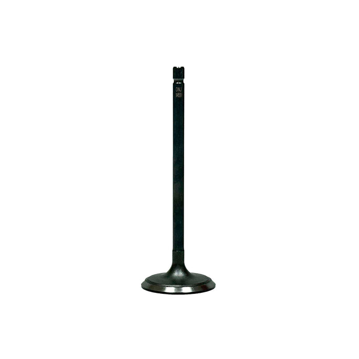 Intake Valve