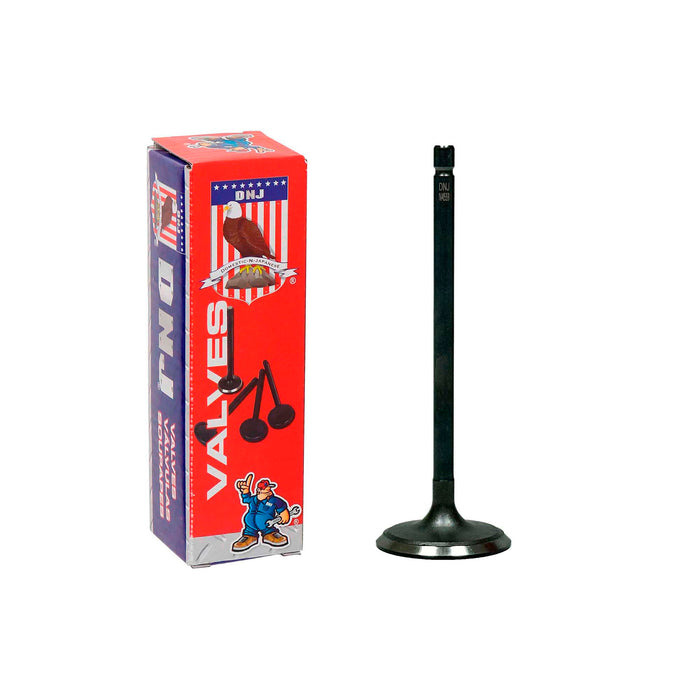 Intake Valve