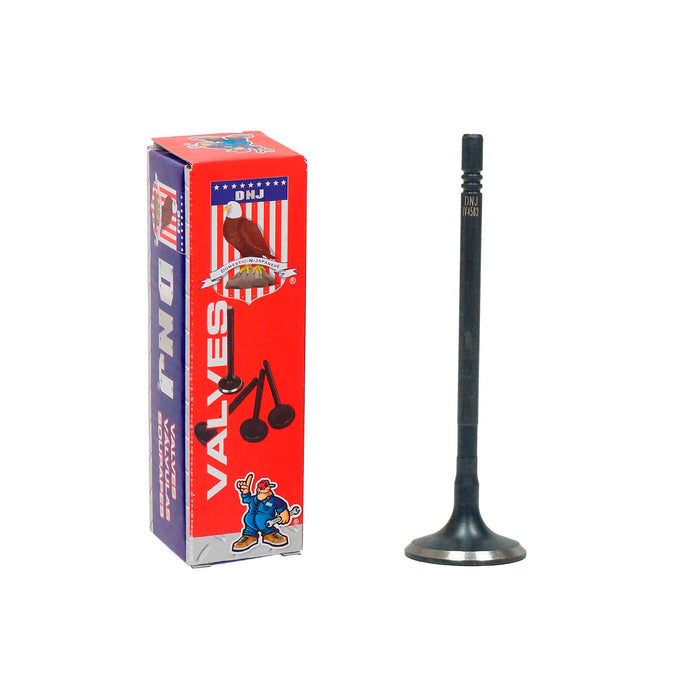 Intake Valve