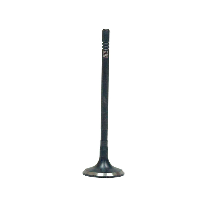 Intake Valve