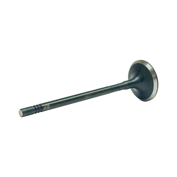 Intake Valve