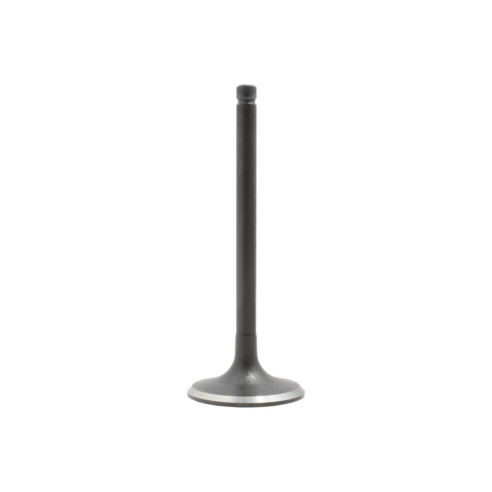 Intake Valve