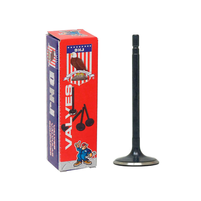 Intake Valve