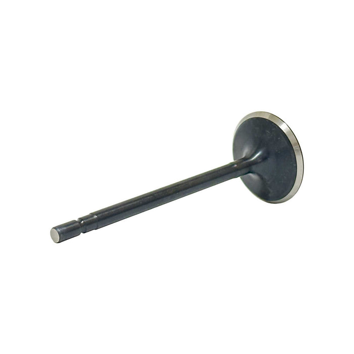 Intake Valve