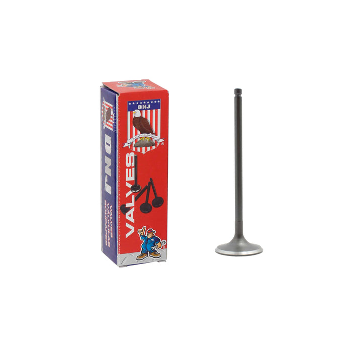 Intake Valve