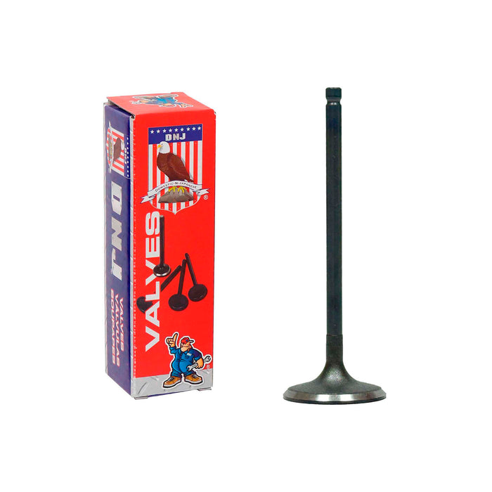 Intake Valve