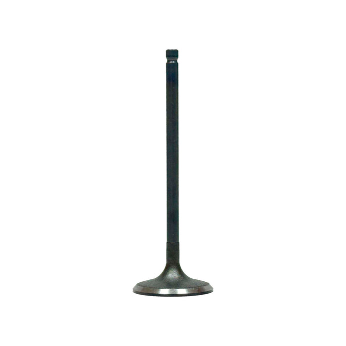 Intake Valve