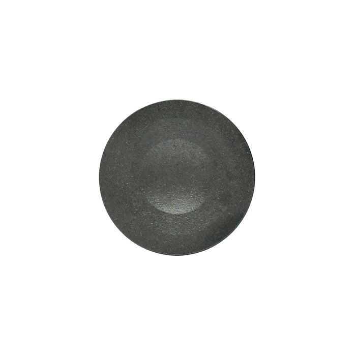 Intake Valve