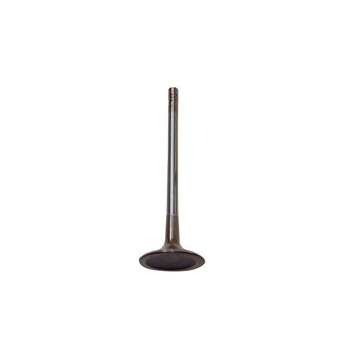 Exhaust / Intake Valve Kit