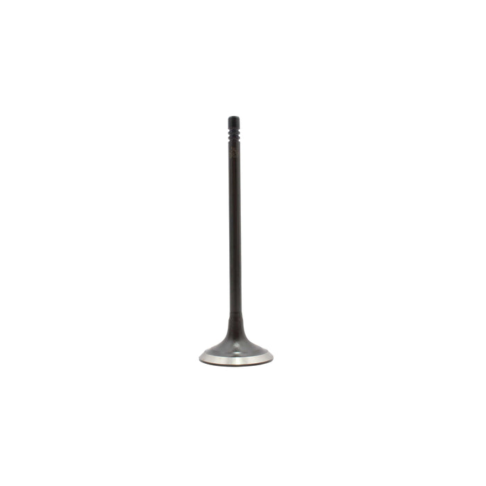 Exhaust / Intake Valve Kit