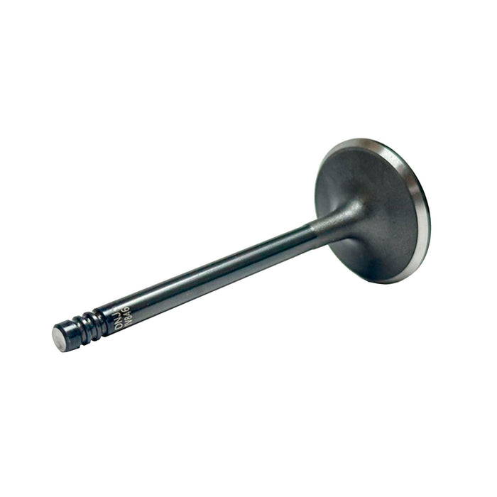 Intake Valve