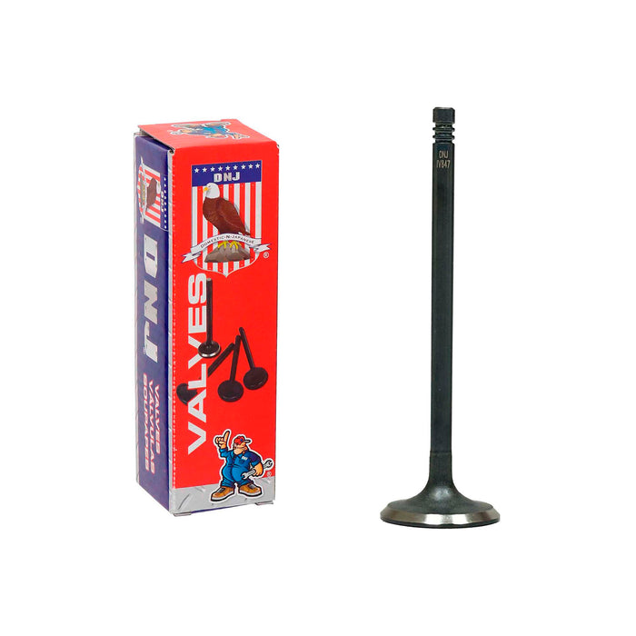Intake Valve