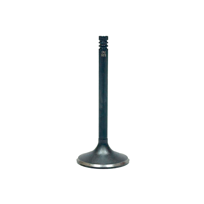 Intake Valve