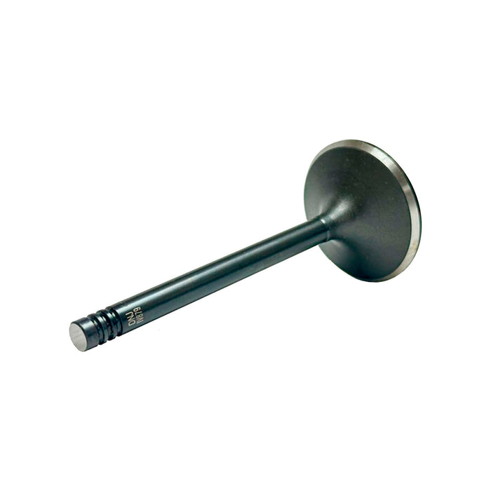 Intake Valve