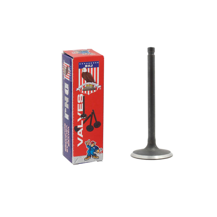 Intake Valve
