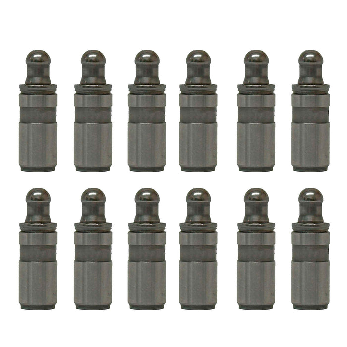 Valve Lifter Kit