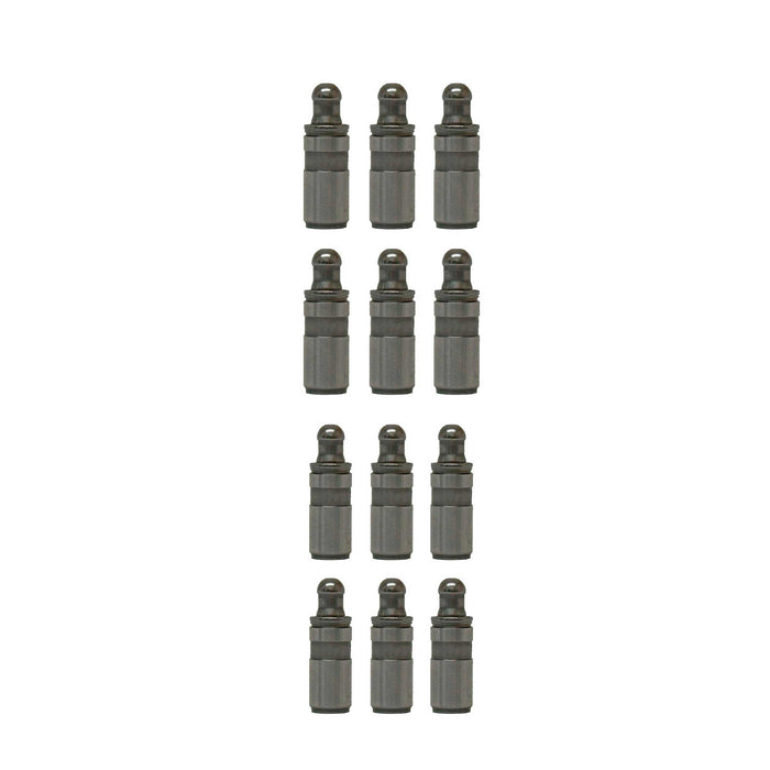 Valve Lifter Kit
