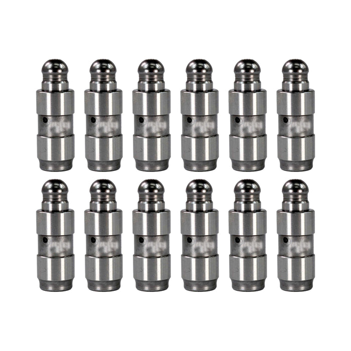 Valve Lifter Kit