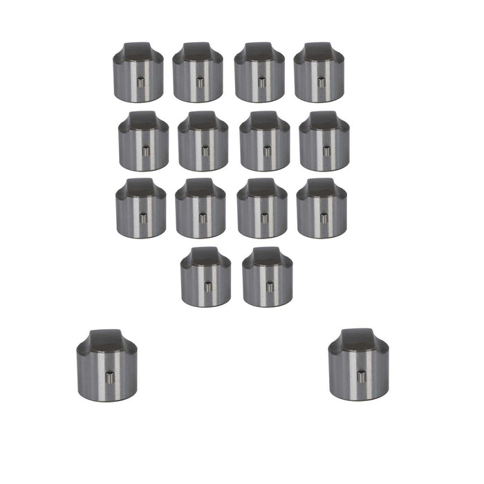Set of 16 Lifters