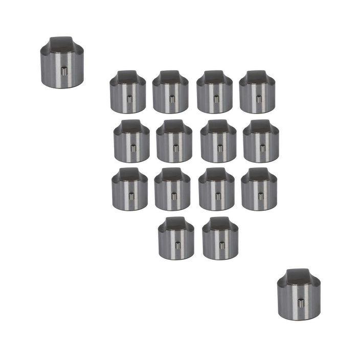 Set of 16 Lifters