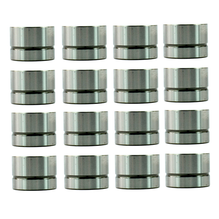 Valve Lifter Kit