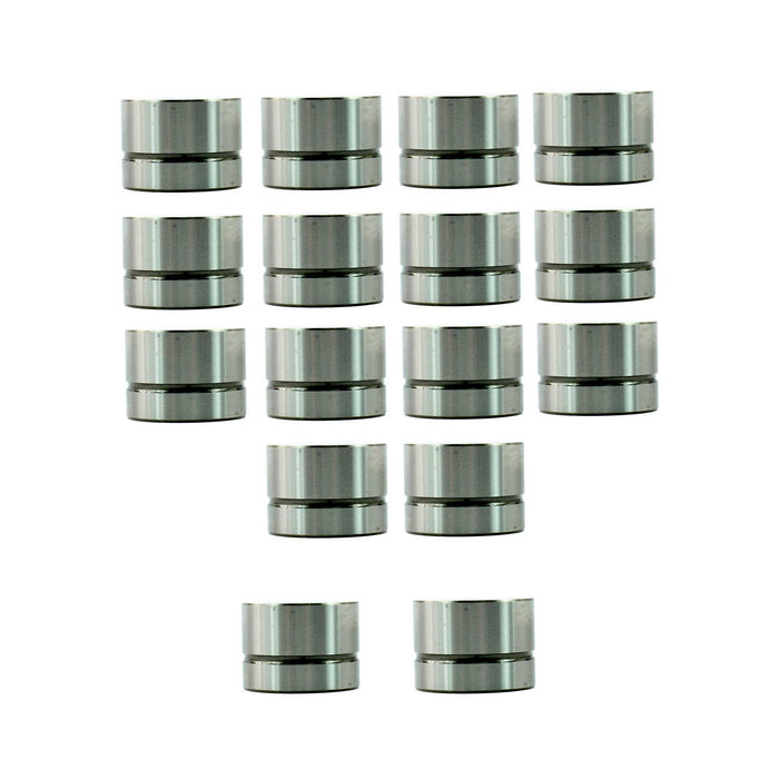 Valve Lifter Kit