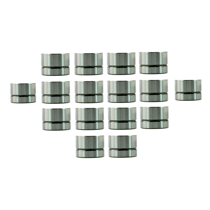 Valve Lifter Kit