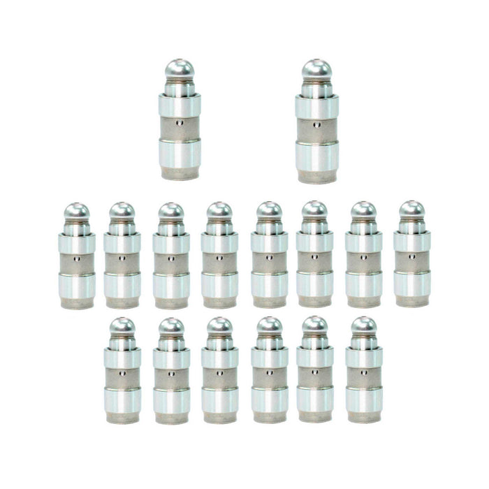 Valve Lifter Kit