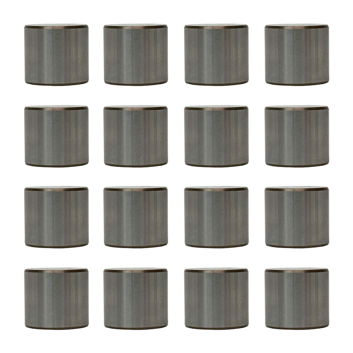 Valve Lifter Kit