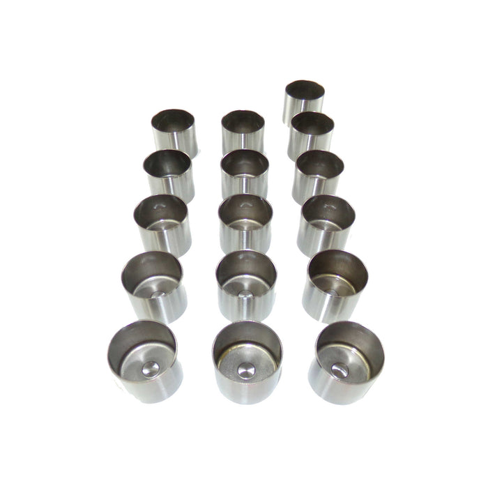 Valve Lifter Kit