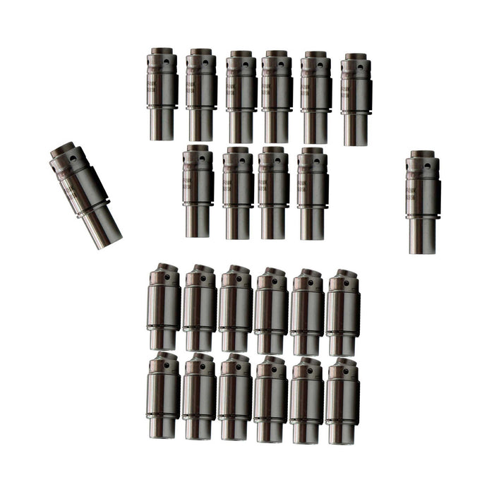 Valve Lifter Kit