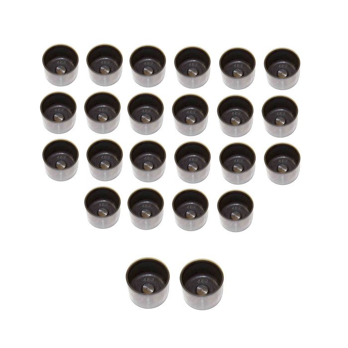 Valve Lifter Kit