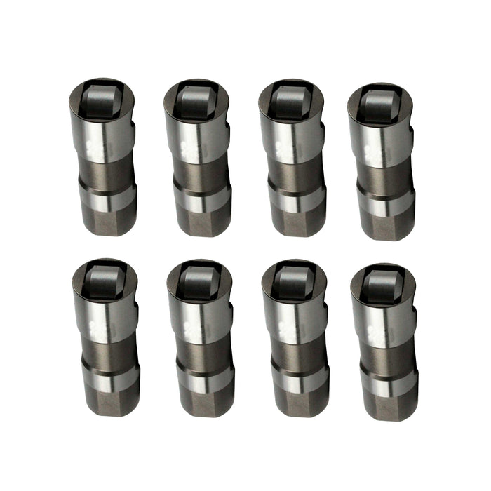 Valve Lifter Kit