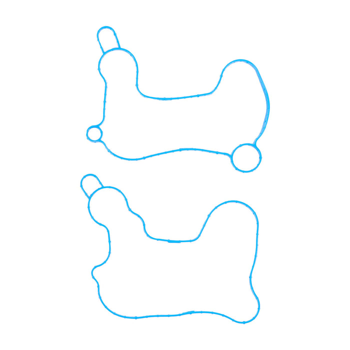 Conversion Gasket Set