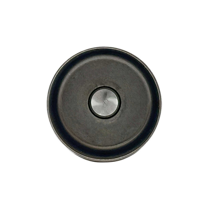 Valve Lifter