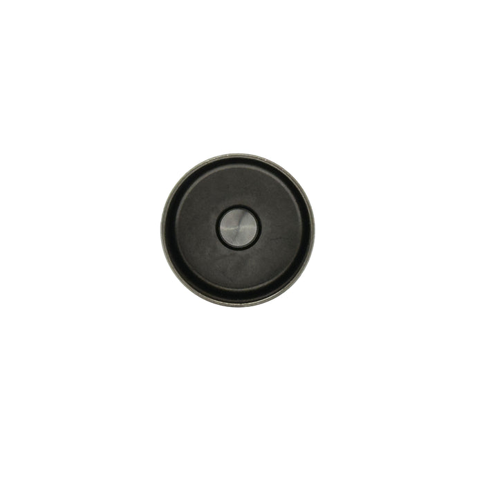Valve Lifter