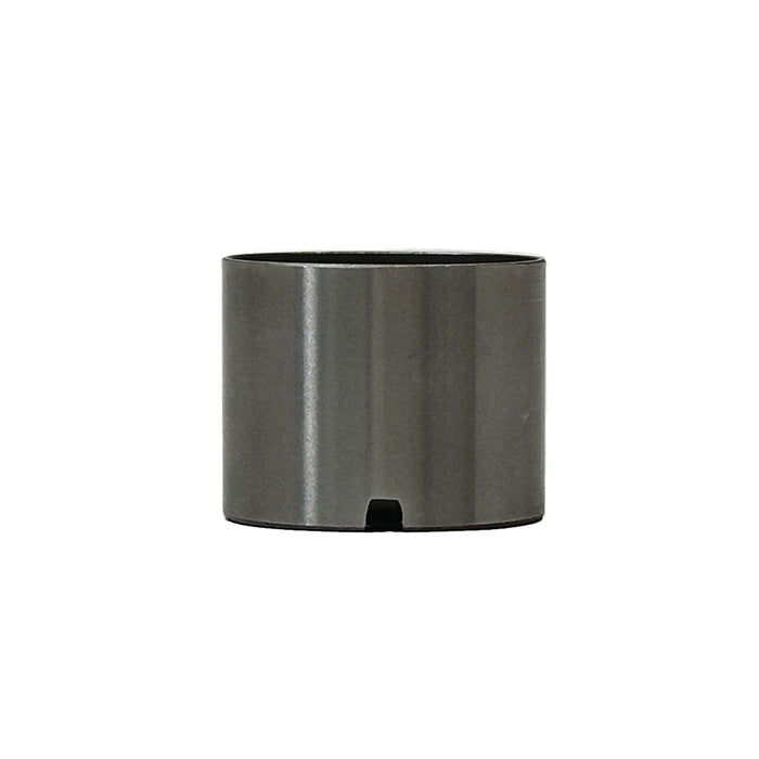 Valve Lifter